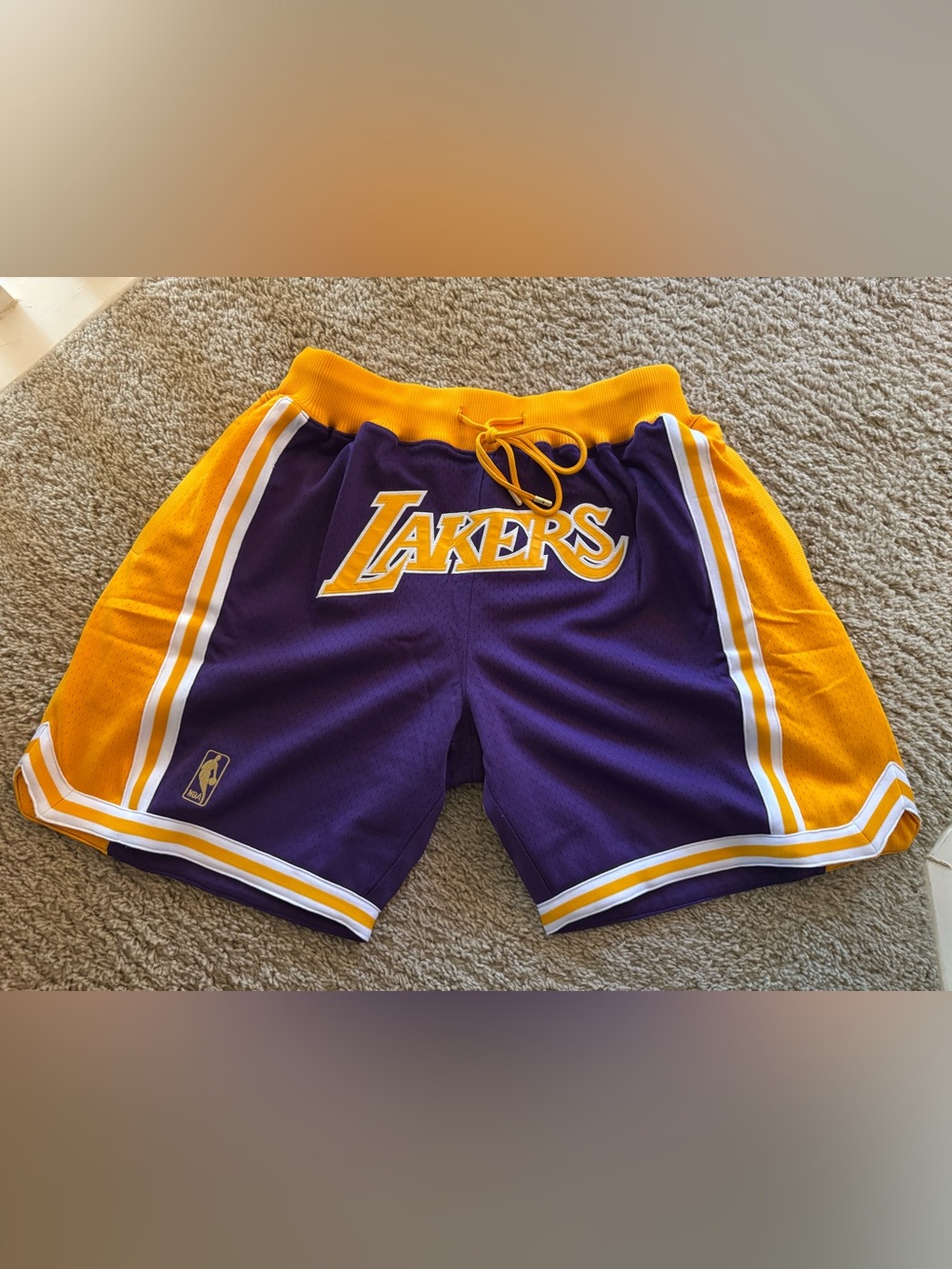 Mitchell & Ness Los Angeles Lakers Purple and Gold Shorts